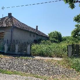 Eljárás tétel kép