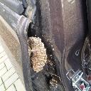 Eljárás tétel kép