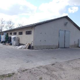 Eljárás tétel kép
