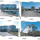 Eljárás tétel kép