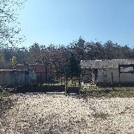 Eljárás tétel kép