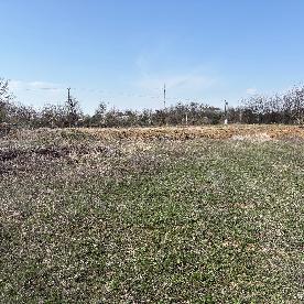 Eljárás tétel kép