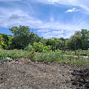 Eljárás tétel kép