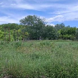 Eljárás tétel kép