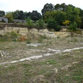 Eljárás tétel kép