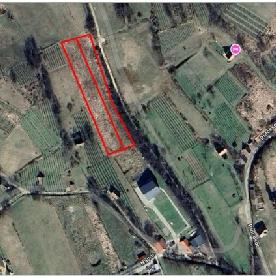 Eljárás tétel kép