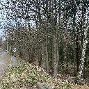 Eljárás tétel kép