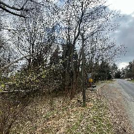 Eljárás tétel kép