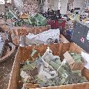 Eljárás tétel kép