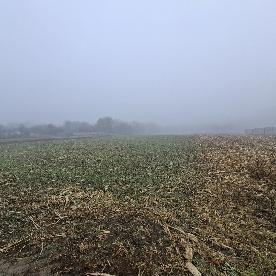 Eljárás tétel kép