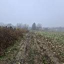 Eljárás tétel kép