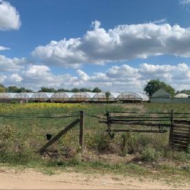 Eljárás tétel kép