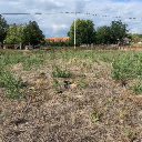 Eljárás tétel kép