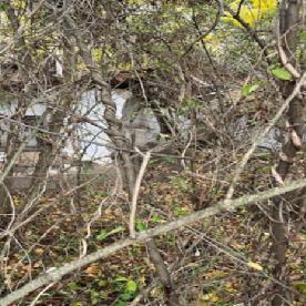 Eljárás tétel kép