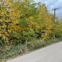 Eljárás tétel kép