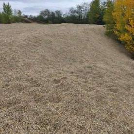 Eljárás tétel kép