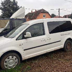 Eljárás tétel kép