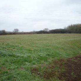 Eljárás tétel kép