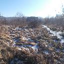 Eljárás tétel kép