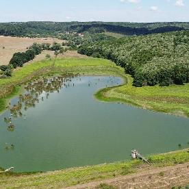 Eljárás tétel kép