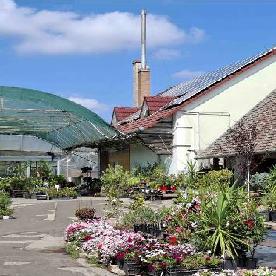 Eljárás tétel kép