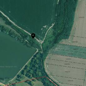 Eljárás tétel kép