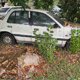 Eljárás tétel kép