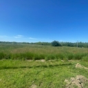 Eljárás tétel kép