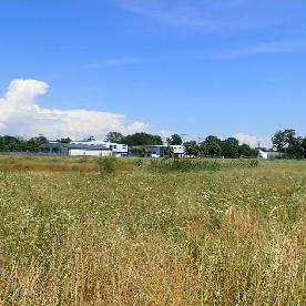 Eljárás tétel kép