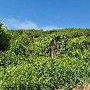 Eljárás tétel kép