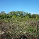 Eljárás tétel kép