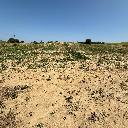 Eljárás tétel kép