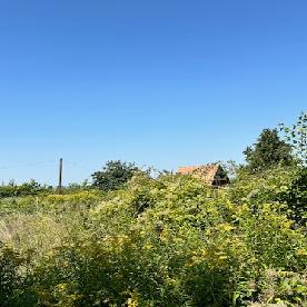 Eljárás tétel kép