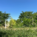 Eljárás tétel kép