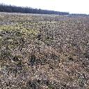 Eljárás tétel kép