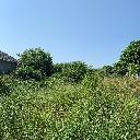 Eljárás tétel kép