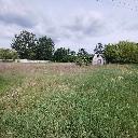 Eljárás tétel kép