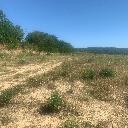 Eljárás tétel kép