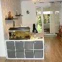 Eljárás tétel kép