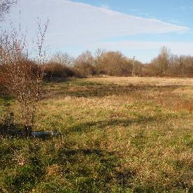 Eljárás tétel kép