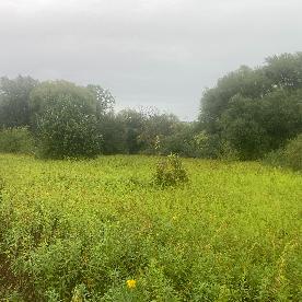 Eljárás tétel kép