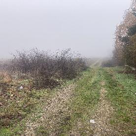 Eljárás tétel kép