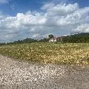 Eljárás tétel kép