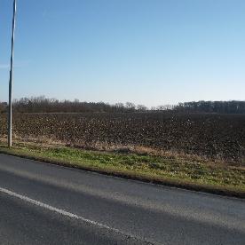 Eljárás tétel kép