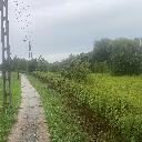 Eljárás tétel kép