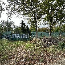 Eljárás tétel kép