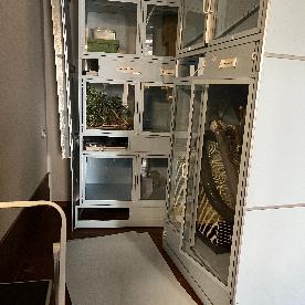 Eljárás tétel kép