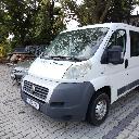 Eljárás tétel kép