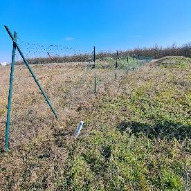 Eljárás tétel kép