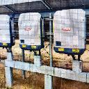 Eljárás tétel kép